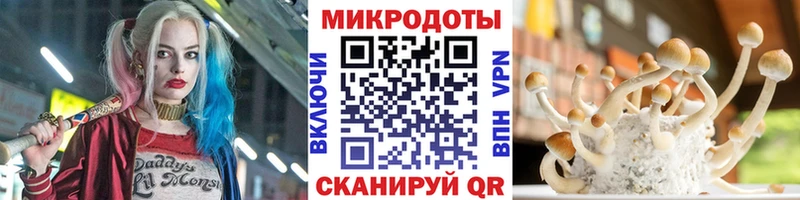 цена   Касли  Галлюциногенные грибы MAGIC MUSHROOMS 